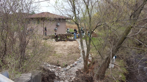 Winton Rain Garden (14)